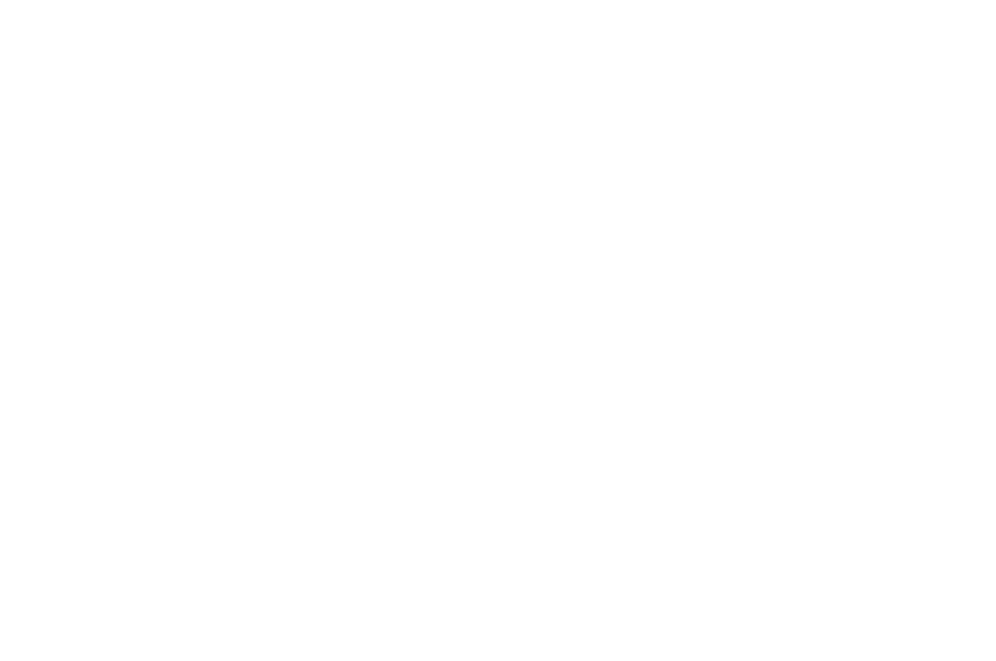 Gedeon-Richter